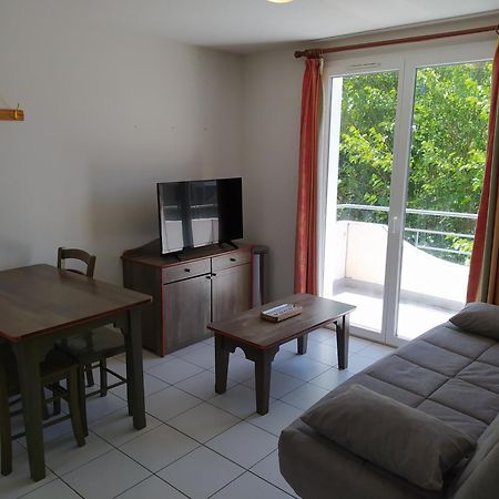 Goelia34 Apartment Saint-Geniez-d'Olt Ngoại thất bức ảnh